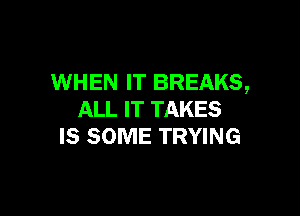 WHEN IT BREAKS,

ALL IT TAKES
IS SOME TRYING