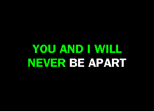 YOU AND I WILL

NEVER BE APART
