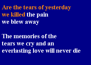 Are the tears of yesterday
we killed the pain
we blew away

The memories of the
tears we cry and an
everlasting love will never die