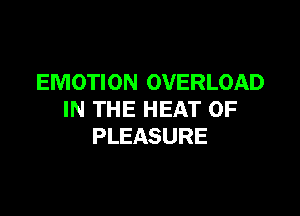 EMOTION OVERLOAD

IN THE HEAT 0F
PLEASURE