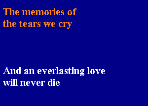 The memories of
the tears we cry

And an everlasting love
will never (lie