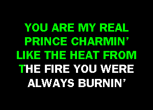 YOU ARE MY REAL
PRINCE CHARMIN,
LIKE THE HEAT FROM
THE FIRE YOU WERE

ALWAYS BURNIW