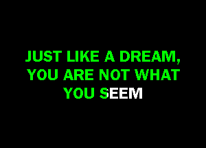 JUST LIKE A DREAM,

YOU ARE NOT WHAT
YOU SEEM