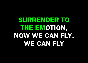 SURRENDER TO
THE EMOTION,

NOW WE CAN FLY,
WE CAN FLY