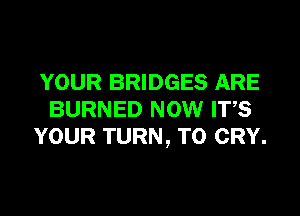 YOUR BRIDGES ARE
BURNED NOW ITS
YOUR TURN, T0 CRY.