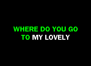 WHERE DO YOU GO

TO MY LOVELY