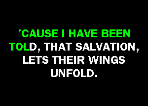 CAUSE I HAVE BEEN
TOLD, THAT SALVATION,
LETS THEIR WINGS
UNFOLD.