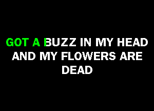 GOT A BUZZ IN MY HEAD
AND MY FLOWERS ARE
DEAD
