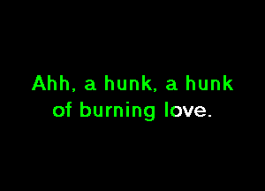 Ahh, a hunk, a hunk

of burning love.