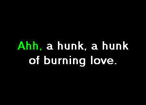 Ahh, a hunk, a hunk

of burning love.