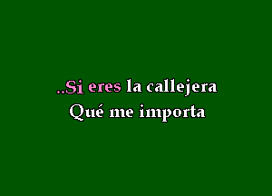 ..Si eres la callejera

QmE me importa