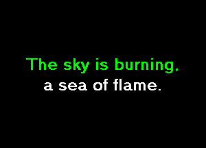 The sky is burning,

a sea of flame.