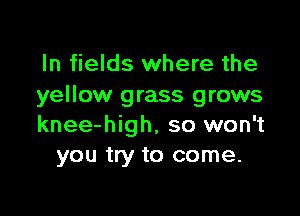 In fields where the
yellow grass grows

knee-high, so won't
you try to come.