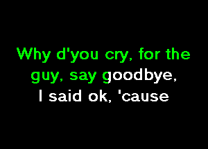 Why d'you cry, for the

guy. say goodbye,
I said ok, 'cause