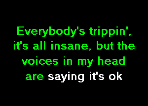 Everybody's trippin',
it's all insane, but the

voices in my head
are saying it's ok