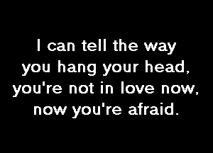 I can tell the way
you hang your head,

you're not in love now,
now you're afraid.