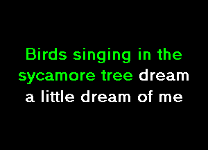 Birds singing in the

sycamore tree dream
a little dream of me