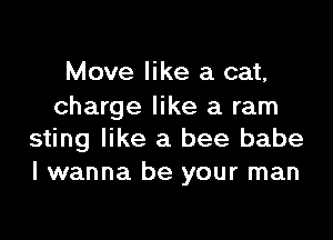 Move like a cat,
charge like a ram

sting like a bee babe
I wanna be your man