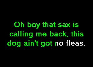 Oh boy that sax is

calling me back, this
dog ain't got no fleas.