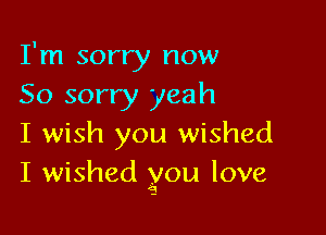 I'm sorry now
So sorry yeah

I wish you wished
I wished you love