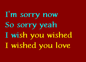 I'm sorry now
So sorry yeah

I wish you wished
I wished you love
