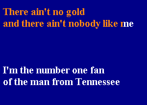 There ain't no gold
and there ain't nobody like me

I'm the number one fan
of the man from Tennessee