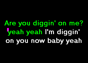 Are you diggin' on me?

lyeah yeah I'm diggin'
on you now baby yeah