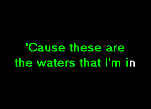 'Cause these are

the waters that I'm in