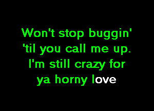 Won't stop buggin'
'til you call me up.

I'm still crazy for
ya horny love