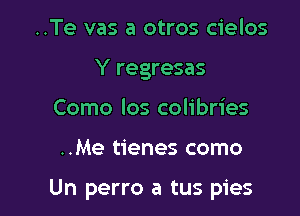 ..Te vas a otros cielos
Y regresas
Como los colibries

..Me tienes como

Un perro a tus pies