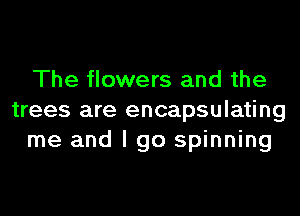 The flowers and the
trees are encapsulating
me and I go spinning