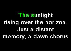 The sunlight
rising over the horizon.

Just a distant
memory, a dawn chorus