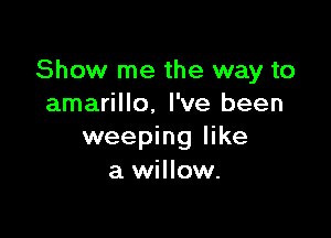 Show me the way to
amarillo, I've been

weeping like
a willow.