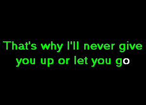 That's why I'll never give

you up or let you go