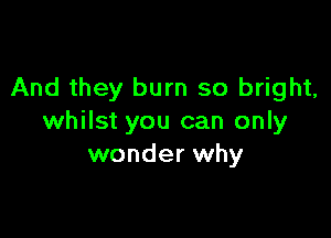 And they burn so bright,

whilst you can only
wonder why