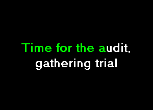 Time for the audit,

gathering trial