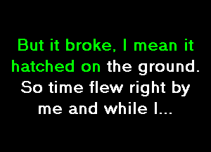 But it broke, I mean it
hatched on the ground.

80 time flew right by
me and while I...