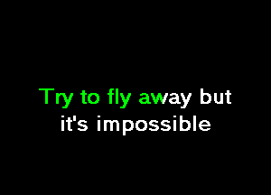 Try to fly away but
it's impossible