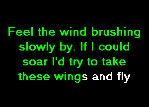 Feel the wind brushing
slowly by. If I could

soar I'd try to take
these wings and fly