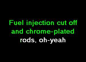 Fuel injection cut off

and chrome-plated
rods, oh-yeah