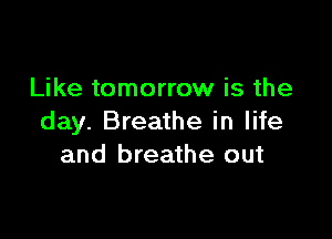 Like tomorrow is the

day. Breathe in life
and breathe out
