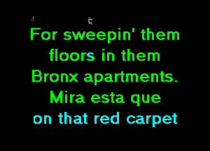 For swgepin' them
floors in them
Bronx apartments.
Mira esta que

on that red carpet