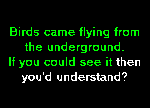 Birds came flying from
the underground.

If you could see it then
you'd understand?