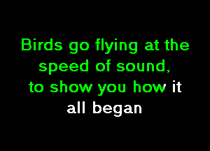 Birds go flying at the
speed of sound,

to show you how it
all began