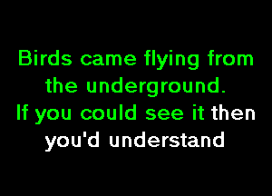 Birds came flying from
the underground.

If you could see it then
you'd understand