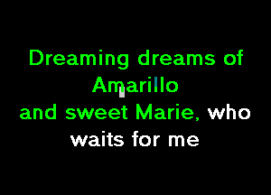 Dreaming dreams of
Amarillo

and sweet Marie, who
waits for me