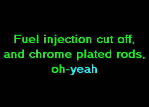 Fuel injection cut off,

and chrome plated rods,
oh-yeah