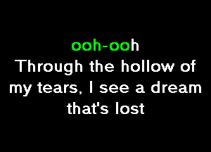 ooh-ooh
Through the hollow of

my tears, I see a dream
that's lost