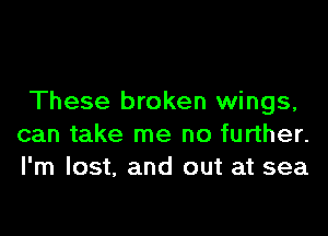 These broken wings,

can take me no further.
I'm lost, and out at sea