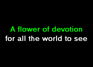 A flower of devotion

for all the world to see